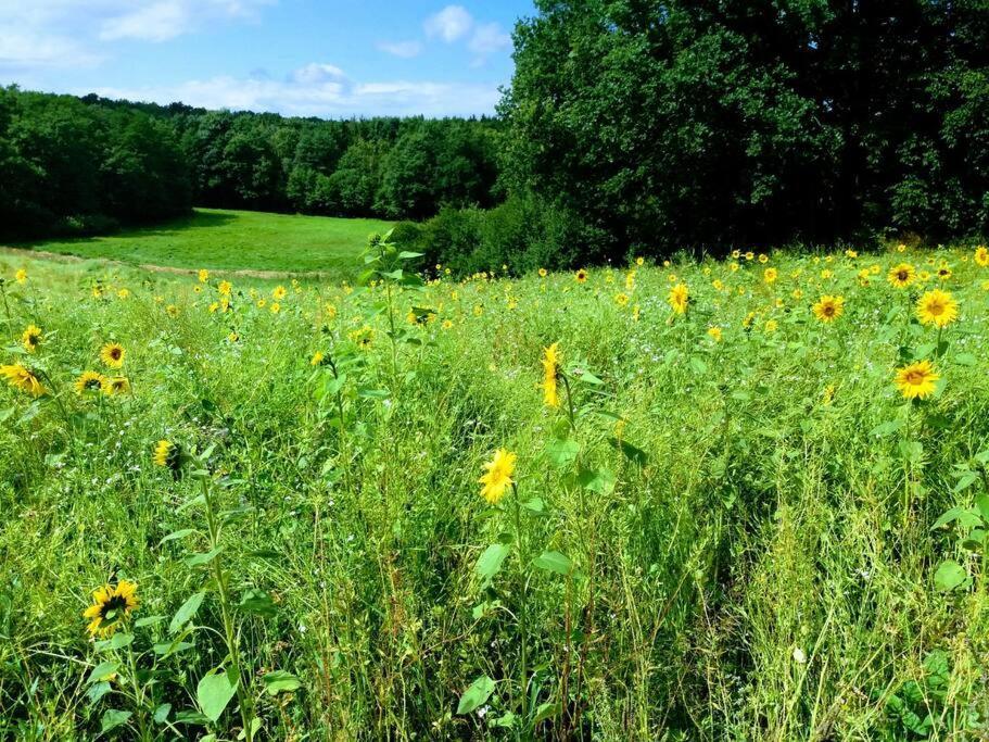 Moderne Wohnung Im Herzen Der Natur - Ingo'S Dream Babelin Esterno foto